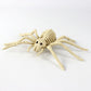 Mouse / Spider Skeleton Decoration