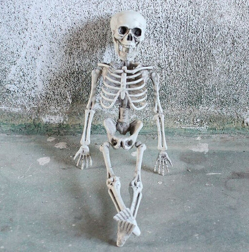 Realistic Skeleton Decoration