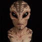 Alien / Clown Mask Costume Accessories