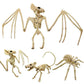 Mouse / Spider Skeleton Decoration