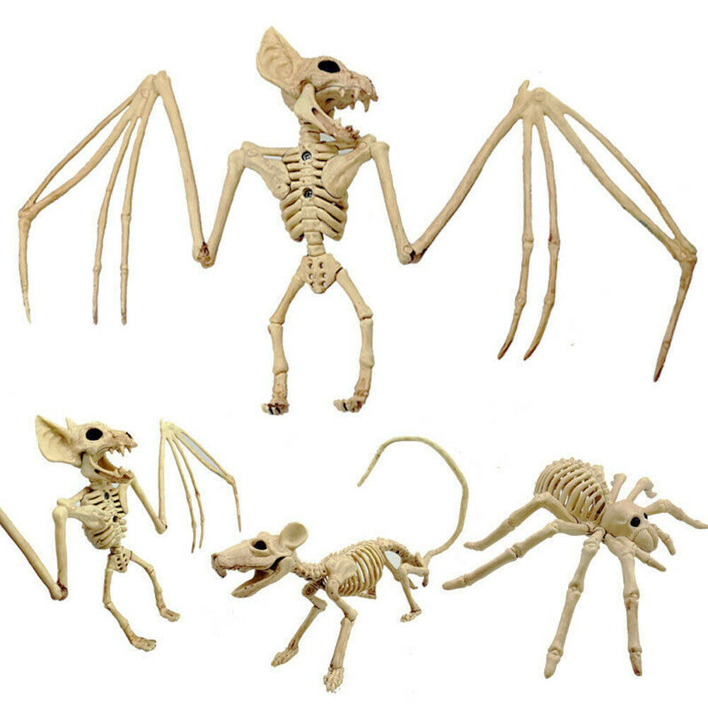 Mouse / Spider Skeleton Decoration