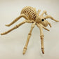 Mouse / Spider Skeleton Decoration