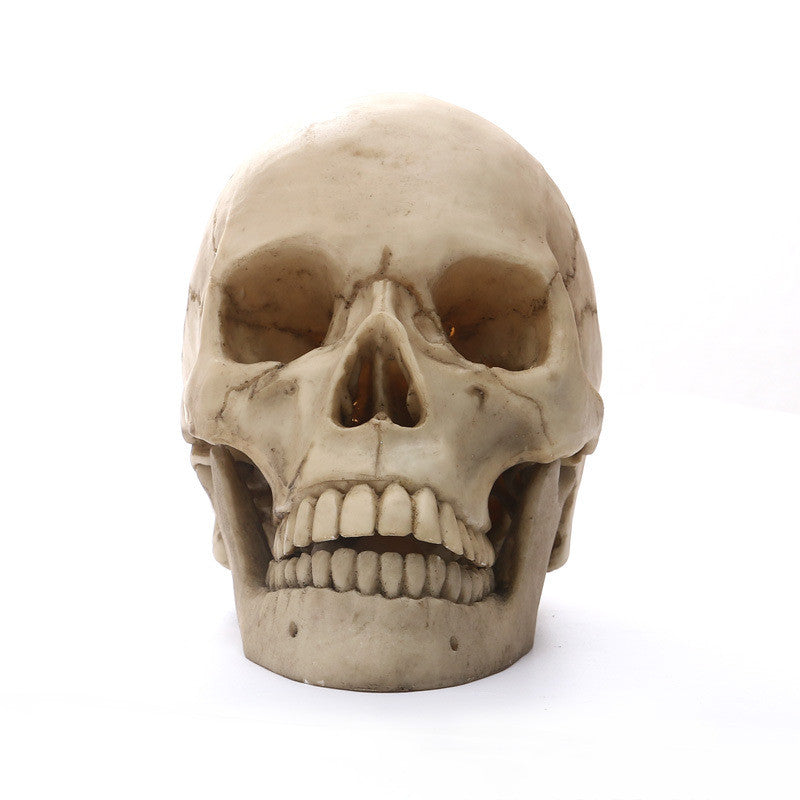 Realistic Skull Decoration