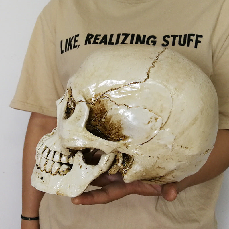 Realistic Skull Decoration