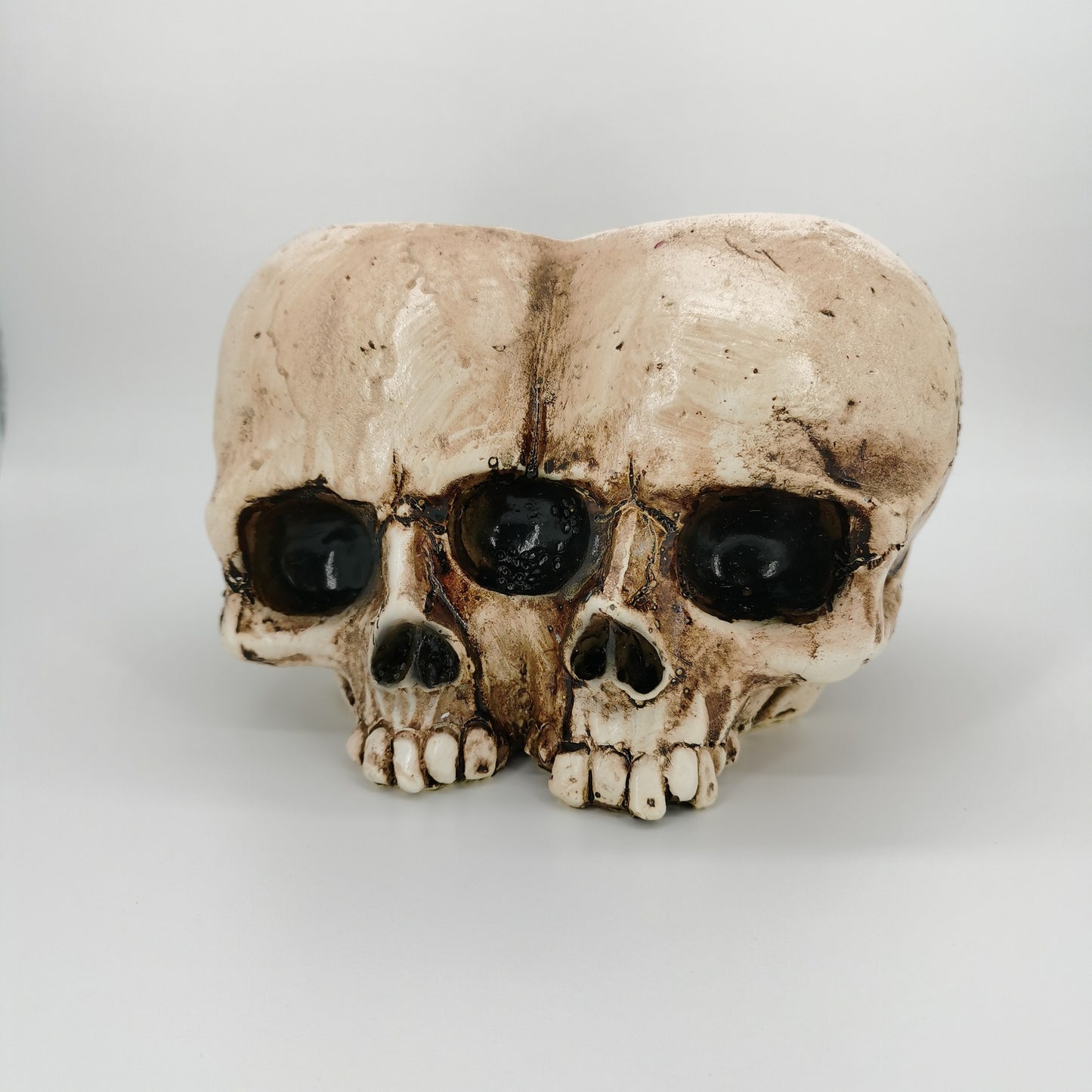 Skull Resin Planter