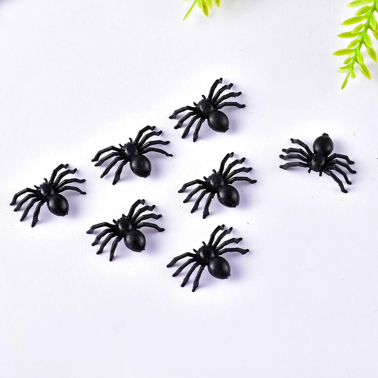 Spider 50/Pack