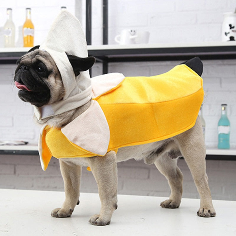 Banana Pet Costume