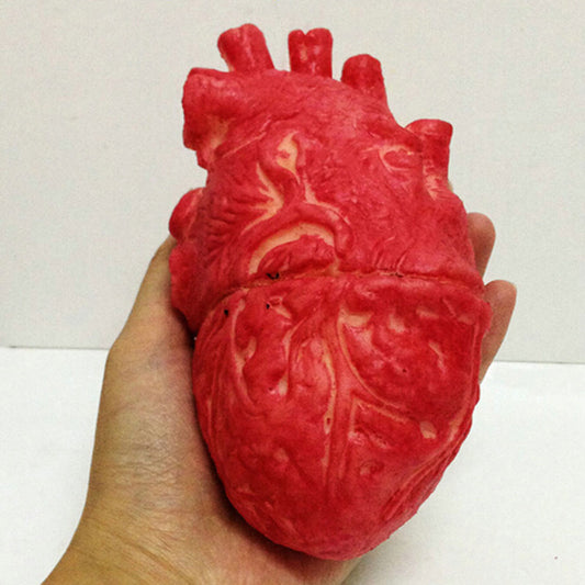 Realistic Heart Prop