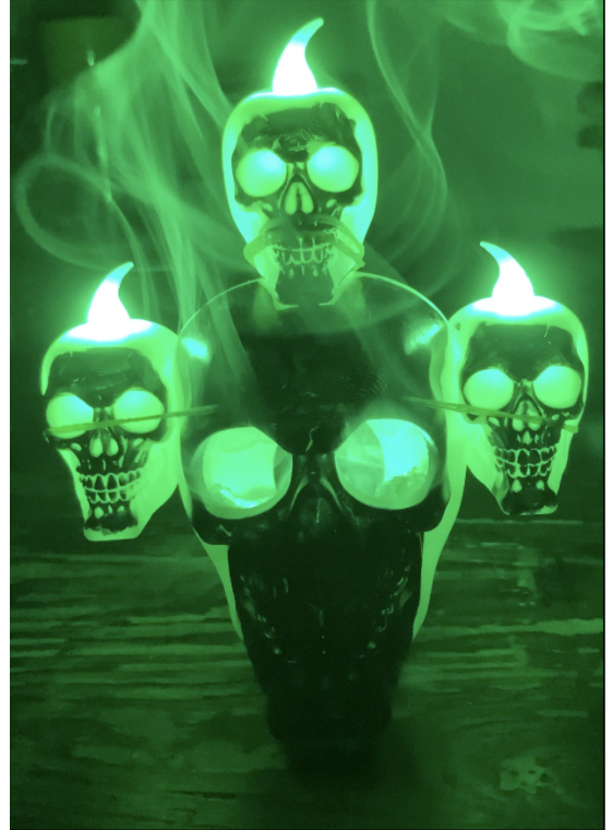 Skull with Lights Halloween Decoration