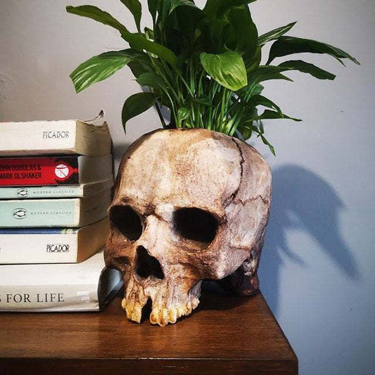 Skull Resin Planter