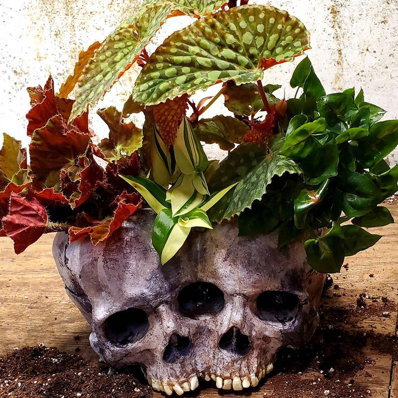 Skull Resin Planter