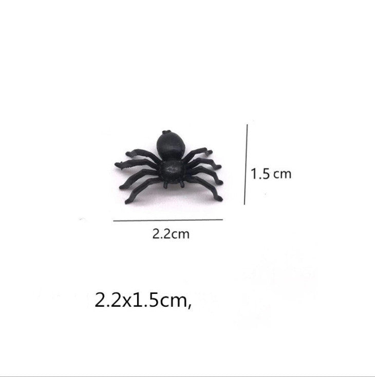 Spider 50/Pack